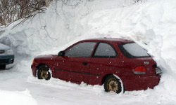 呼死你免费试用在线